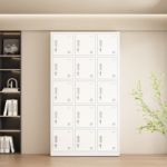 gym cabinet, gym cabinets, gym storage cabinet, gym locker cabinet, gym locker, gym lockers, gym storage, gym equipment storage cabinet, sports storage cabinet, fitness storage cabinet, gym changing room cabinet, changing room locker, changing room cabinet, gym changing room locker, sports locker, fitness locker, athletic locker, gym clothes locker, gym clothing storage, gym bag storage cabinet, gym luggage cabinet, gym luggage locker, personal storage locker, personal belongings locker, staff locker, employee locker, member locker, gym member locker, gym staff locker, locker cabinet, metal gym cabinet, steel gym cabinet, steel locker, metal locker, heavy duty gym locker, durable gym cabinet, secure gym locker, lockable gym cabinet, locking gym locker, gym cabinet with lock, gym locker with key, gym locker with ventilation, ventilated gym locker, ventilation locker, air vent locker, multi door gym cabinet, multiple door gym locker, single door gym locker, double door gym locker, 3 door gym locker, 4 door gym locker, 6 door gym locker, 9 door gym locker, 12 door gym locker, multi compartment gym cabinet, compartment locker, individual locker, staff changing room locker, sports changing room locker, school sports locker, school gym locker, university gym locker, college gym locker, sports club locker, fitness center locker, fitness club locker, health club locker, wellness center locker, recreation center locker, swimming pool locker, swimming pool changing room locker, spa locker, hotel gym locker, hotel fitness locker, corporate gym locker, office gym locker, workplace locker, industrial locker, commercial locker, institutional locker, school locker cabinet, college locker cabinet, university locker cabinet, sports facility locker, gym facility storage, fitness facility storage, gym organization cabinet, gym organization storage, sports equipment storage, fitness equipment storage, athletic equipment storage, workout gear storage, gym accessories storage, personal item storage, secure storage locker, secure personal storage, durable storage cabinet, powder coated steel locker, powder coated gym cabinet