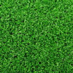 office green carpet Kenya, green office carpet Kenya, office carpet Kenya, green carpet for office Kenya, office green carpet for sale Kenya, office green carpet prices Kenya, buy office green carpet Kenya, affordable office carpet Kenya, modern office carpet Kenya, commercial office carpet Kenya, green office flooring Kenya, green floor carpet Kenya, office floor covering Kenya, green carpet supplier Kenya, office carpet supplier Kenya, office carpet shop Kenya, office carpet showroom Kenya, office carpet delivery Kenya, office carpet Nairobi, green office carpet Nairobi, green carpet Nairobi, office carpet Mombasa, office carpet Kisumu, office carpet Nakuru, office carpet Eldoret, office carpet Thika, office carpet Kiambu, office carpet Machakos, office carpet Nyeri, office carpet Meru, office carpet Kakamega, office carpet Kisii, office carpet Kitale, office carpet Malindi, commercial green carpet Kenya, durable office carpet Kenya, heavy duty office carpet Kenya, premium office carpet Kenya, quality office carpet Kenya, cheap office carpet Kenya, best office carpet Kenya, green carpet for commercial buildings Kenya, green carpet for corporate offices Kenya, green carpet for reception Kenya, green carpet for boardroom Kenya, green carpet for meeting room Kenya, green carpet for conference room Kenya, green carpet for office corridors Kenya, green carpet for office lobby Kenya, green carpet for workspace Kenya, green carpet for home office Kenya, green carpet for business premises Kenya, green carpet for school offices Kenya,