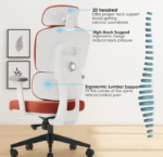 Fabric Chair, Fabric Office Chair, Fabric Chair Kenya, Upholstered Chair, Upholstered Office Chair, Comfortable Fabric Chair, Modern Fabric Chair, Office Fabric Chair, Visitor Fabric Chair, Reception Fabric Chair, Waiting Chair, Office Visitor Chair, Meeting Room Chair, Conference Chair, Staff Office Chair, Guest Chair, Home Fabric Chair, Study Chair, Desk Chair, Padded Fabric Chair, Ergonomic Fabric Chair, Durable Fabric Chair, Affordable Fabric Chair, Modern Office Chair, Comfortable Office Chair Related Service Tags Fabric Chair Supplier Kenya, Office Chair Supplier Kenya, Office Furniture Supplier Kenya, Office Furniture Shop Kenya, Office Furniture Delivery Kenya, Office Furniture Installation Kenya, Office Furniture Wholesale Kenya, Office Furniture Retail Kenya, Furniture Supplier Kenya, Furniture Shop Kenya, Furniture Delivery Kenya, Office Furniture Supply, Corporate Furniture Supplier, Commercial Furniture Supplier, Reception Furniture Supplier, School Furniture Supplier Kenya, Institutional Furniture Kenya, Bulk Furniture Supply Kenya, Custom Office Furniture Kenya, Office Fit Out Kenya Kenya Location Tags Fabric Chair Nairobi, Fabric Chair Mombasa, Fabric Chair Kisumu, Fabric Chair Nakuru, Fabric Chair Eldoret, Fabric Chair Thika, Fabric Chair Kiambu, Fabric Chair Ruiru, Fabric Chair Kitengela, Fabric Chair Machakos, Fabric Chair Naivasha, Fabric Chair Nyeri, Fabric Chair Meru, Fabric Chair Kakamega, Fabric Chair Kisii, Fabric Chair Malindi, Fabric Chair Kilifi, Fabric Chair Nanyuki, Fabric Chair Kericho, Fabric Chair Bungoma, Fabric Chair Embu, Fabric Chair Murang'a, Fabric Chair Voi, Fabric Chair Garissa, Fabric Chair Kitui, Fabric Chair Narok, Fabric Chair Migori, Fabric Chair Homa Bay, Fabric Chair Busia, Fabric Chair Siaya, Fabric Chair Kajiado, Fabric Chair Bomet, Fabric Chair Nyahururu, Fabric Chair Lodwar, Fabric Chair Isiolo, Fabric Chair Wajir, Fabric Chair Mandera, Fabric Chair Marsabit, Fabric Chair Lamu, Fabric Chairs Kenya High-Intent Google Search Tags Fabric Chairs Kenya, Fabric Chair Kenya, Fabric Office Chairs Kenya, Fabric Office Chair Nairobi, Upholstered Chairs Kenya, Upholstered Office Chairs Kenya, Office Chairs Kenya, Office Chair Nairobi, Comfortable Office Chairs Kenya, Visitor Chairs Kenya, Fabric Visitor Chairs Kenya, Reception Chairs Kenya, Waiting Chairs Kenya, Staff Office Chairs Kenya, Meeting Room Chairs Kenya, Conference Chairs Kenya, Office Chairs for Sale Kenya, Office Chair Prices Kenya, Buy Office Chairs Kenya, Affordable Office Chairs Kenya, Modern Office Chairs Kenya, Office Furniture Kenya, Office Furniture Nairobi, Office Furniture for Sale Kenya, Office Furniture Shop Nairobi, Office Furniture Supplier Nairobi, Office Furniture Online Kenya, Office Furniture Delivery Kenya, Office Furniture Wholesale Kenya, Furniture Shop Kenya All-in-One SEO Tag String Fabric Chair, Fabric Office Chair, Fabric Chair Kenya, Upholstered Chair, Upholstered Office Chair, Comfortable Fabric Chair, Modern Fabric Chair, Office Fabric Chair, Visitor Fabric Chair, Reception Fabric Chair, Waiting Chair, Office Visitor Chair, Meeting Room Chair, Conference Chair, Staff Office Chair, Guest Chair, Home Fabric Chair, Study Chair, Desk Chair, Padded Fabric Chair, Ergonomic Fabric Chair, Durable Fabric Chair, Affordable Fabric Chair, Modern Office Chair, Comfortable Office Chair, Fabric Chair Supplier Kenya, Office Chair Supplier Kenya, Office Furniture Supplier Kenya, Office Furniture Shop Kenya, Office Furniture Delivery Kenya, Office Furniture Installation Kenya, Office Furniture Wholesale Kenya, Office Furniture Retail Kenya, Furniture Supplier Kenya, Furniture Shop Kenya,